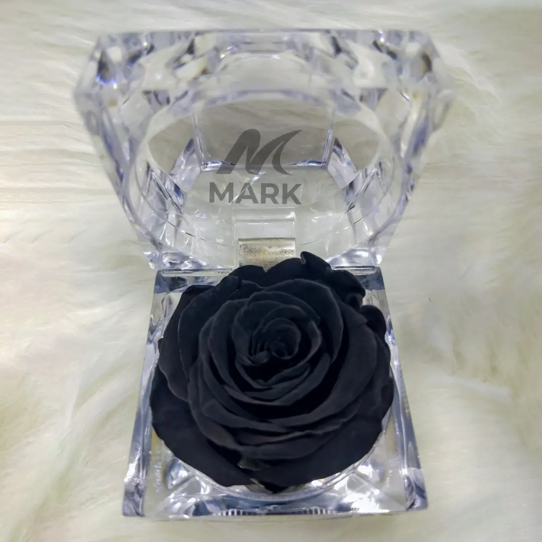 Real Black Preserved Rose Eternal Black in Bangladesh