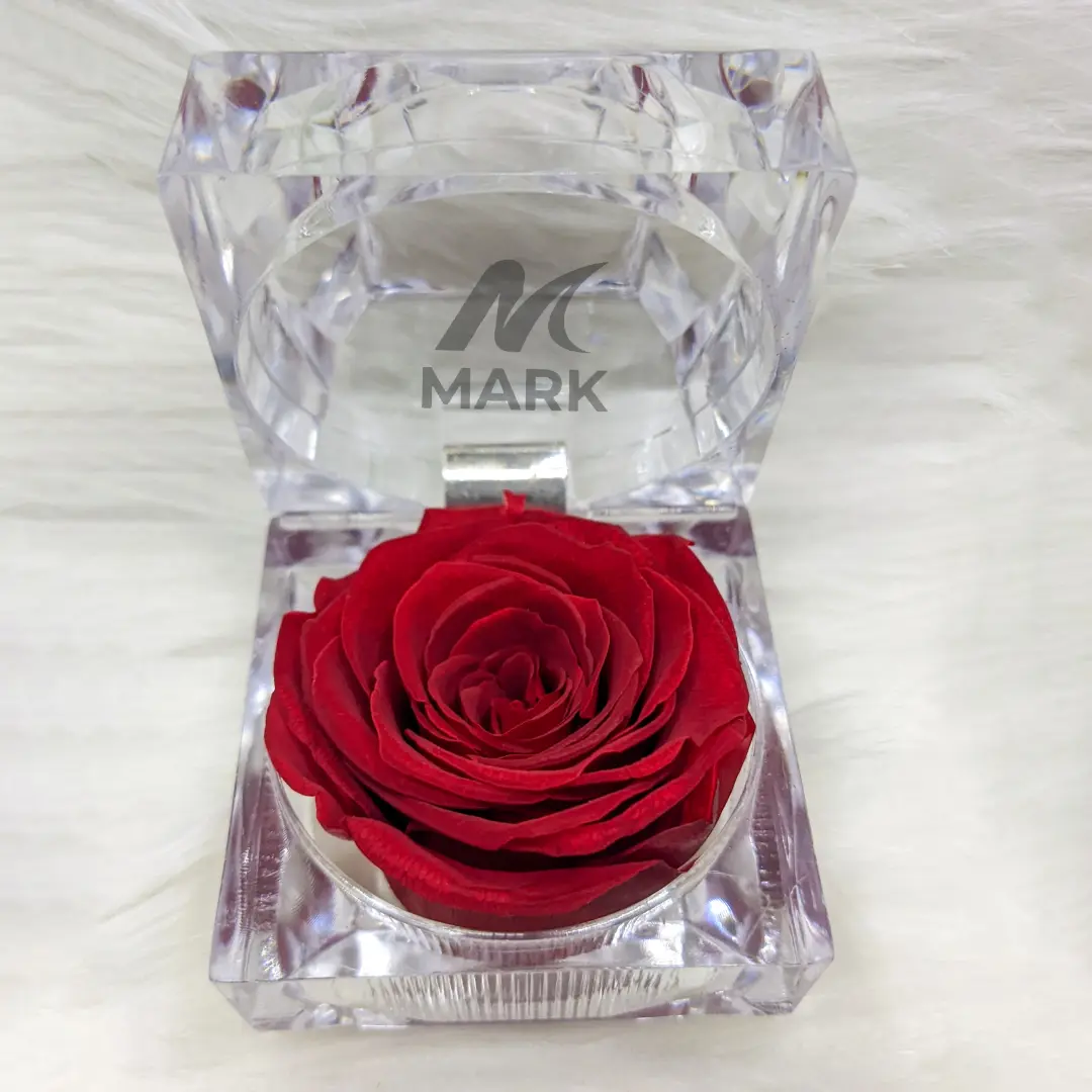 Real Red Preserved Rose in Bangladesh