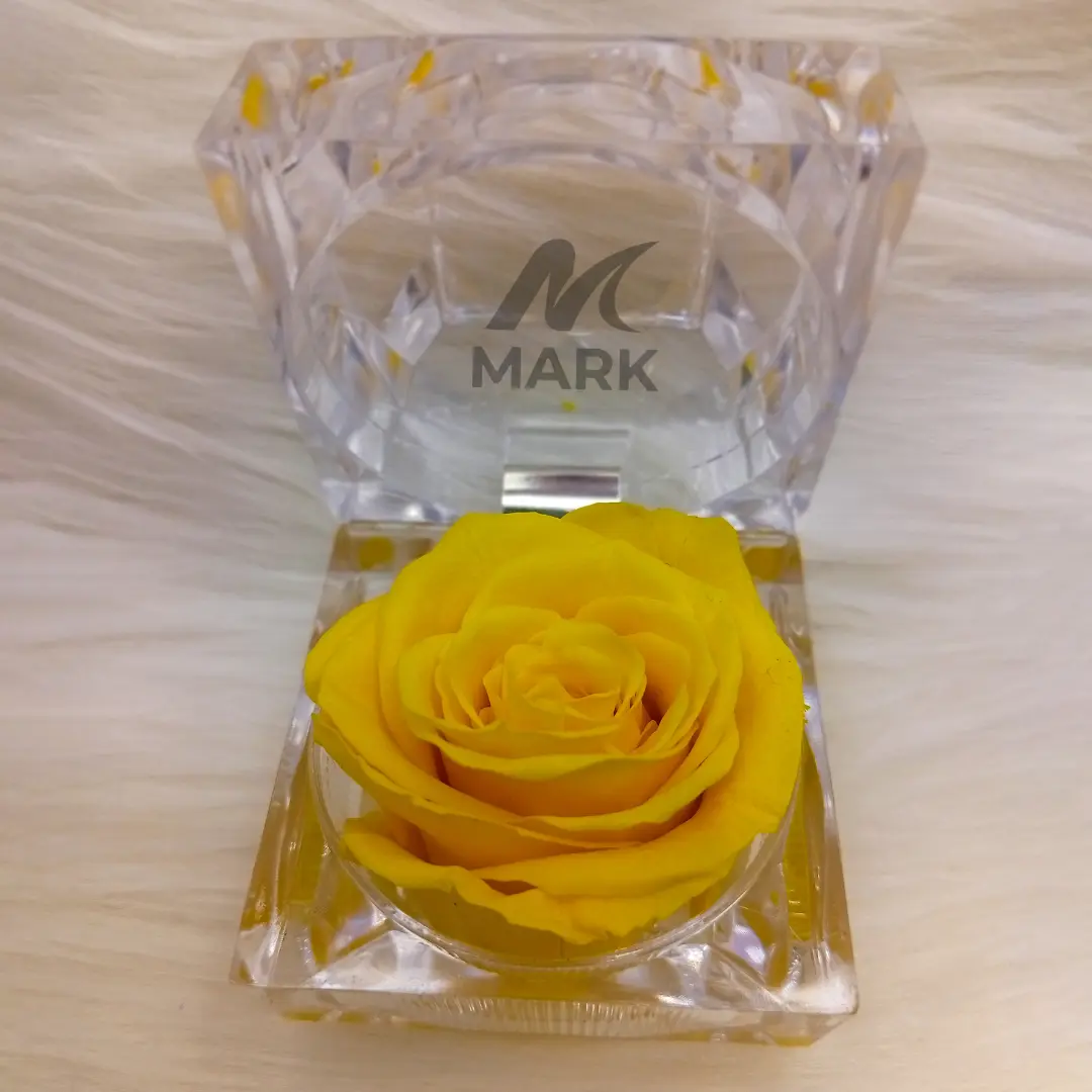 Real Yellow Preserved Rose in bangladesh