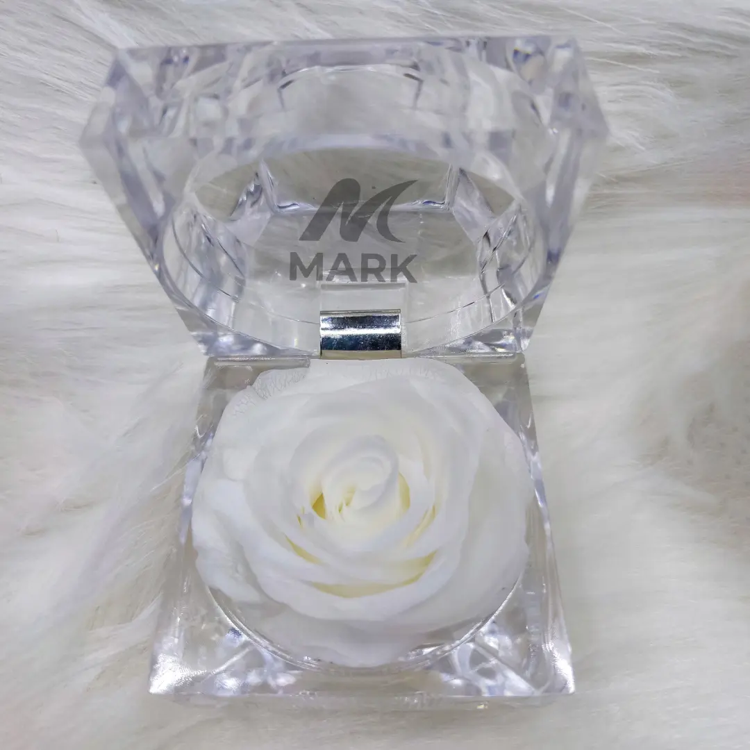 White Preserved Rose Real Eternal White Rose